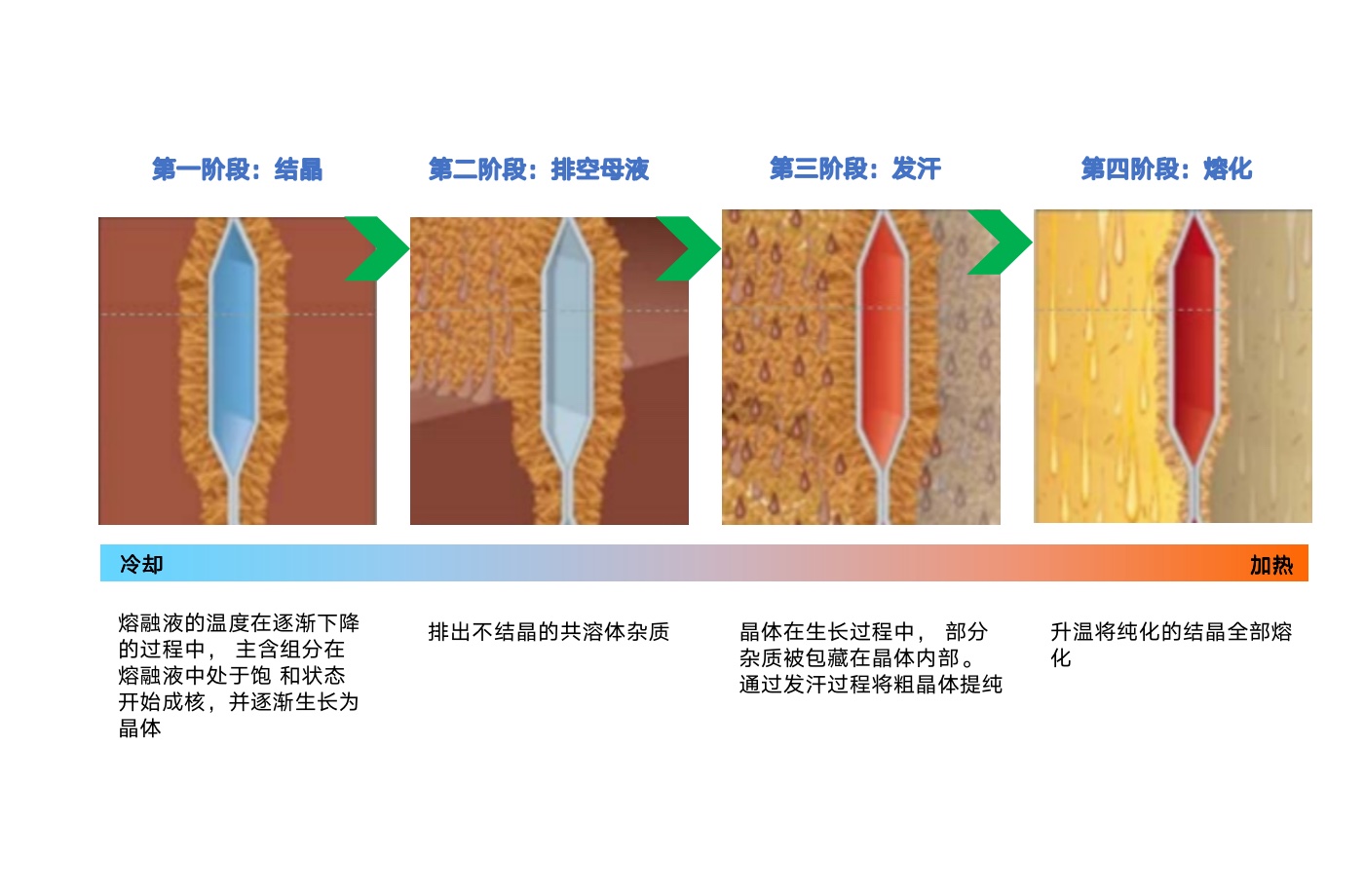 三码必出一码